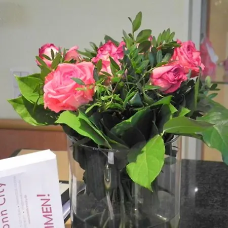 מלון Hotel Bonn City בון