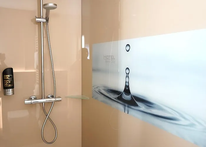 酒店 波恩城市酒店