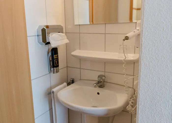 Hotel Bonn City מלון 3*